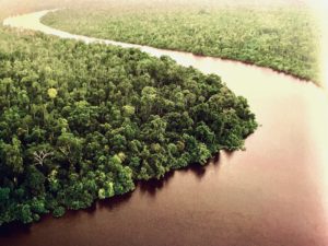 A portrait of deforestation in East Kalimantan, Indonesia